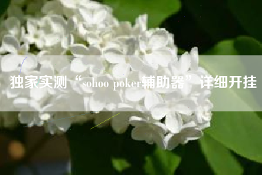 独家实测“sohoo poker辅助器	”详细开挂