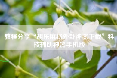 教程分享“胡乐麻将外卦神器下载”科技辅助神器手机版