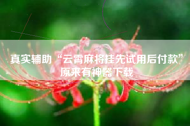 真实辅助“云霄麻将挂先试用后付款	”原来有神器下载