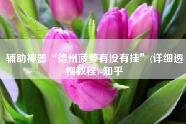 辅助神器“德州菠萝有没有挂”(详细透视教程)-知乎