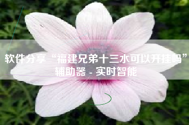 软件分享“福建兄弟十三水可以开挂吗	”辅助器 - 实时智能