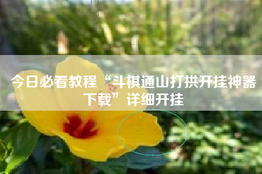 今日必看教程“斗棋通山打拱开挂神器下载	”详细开挂