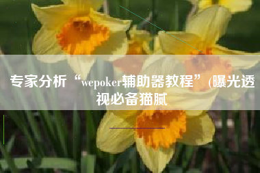专家分析“wepoker辅助器教程”(曝光透视必备猫腻