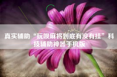 真实辅助“玩呗麻将到底有没有挂”科技辅助神器手机版