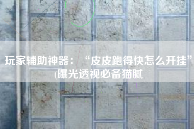 玩家辅助神器：“皮皮跑得快怎么开挂”(曝光透视必备猫腻