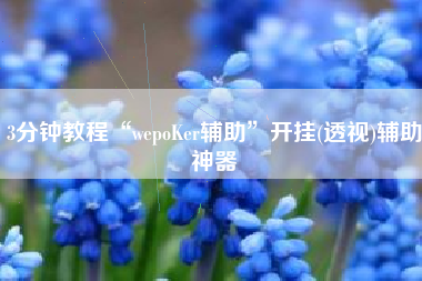 3分钟教程“wepoKer辅助	”开挂(透视)辅助神器