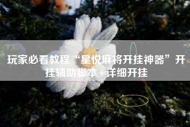 玩家必看教程“星悦麻将开挂神器”开挂辅助脚本+详细开挂