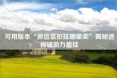 可用版本“微信喜扣挂哪里卖	”揭秘透视辅助万能挂