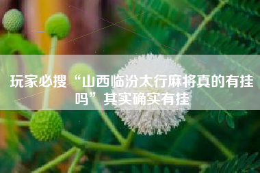 玩家必搜“山西临汾太行麻将真的有挂吗”其实确实有挂