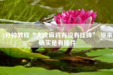 3分钟教程“大庆麻将有没有挂牌”(原来确实是有插件