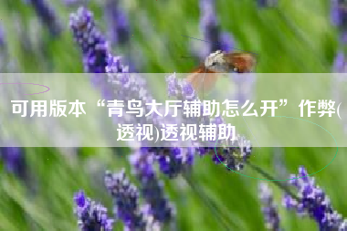 可用版本“青鸟大厅辅助怎么开”作弊(透视)透视辅助