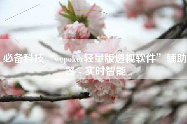 必备科技“wepoker轻量版透视软件”辅助器 - 实时智能