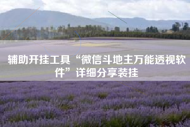 辅助开挂工具“微信斗地主万能透视软件”详细分享装挂