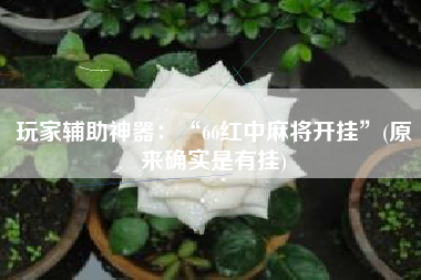 玩家辅助神器：“66红中麻将开挂	”(原来确实是有挂)