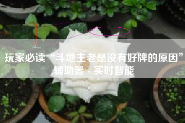 玩家必读“斗地主老是没有好牌的原因”辅助器 - 实时智能