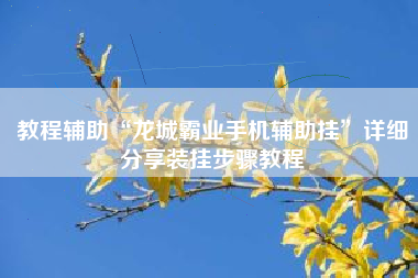 教程辅助“龙城霸业手机辅助挂”详细分享装挂步骤教程