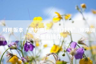可用版本“德州来玩app有挂吗”(原来确实是有插件)