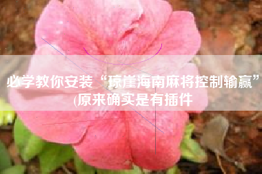 必学教你安装“琼崖海南麻将控制输赢”(原来确实是有插件