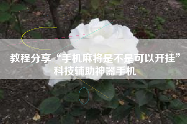 教程分享“手机麻将是不是可以开挂”科技辅助神器手机