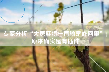 专家分析“大唐麻将一直输是咋回事	”(原来确实是有插件