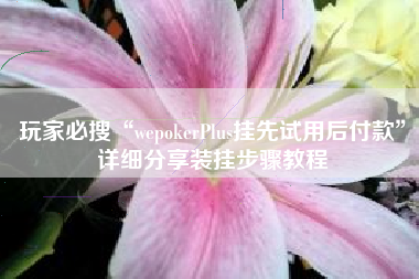 玩家必搜“wepokerPlus挂先试用后付款	”详细分享装挂步骤教程