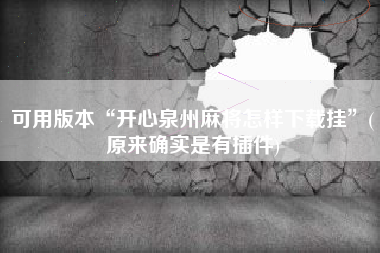 可用版本“开心泉州麻将怎样下载挂	”(原来确实是有插件)