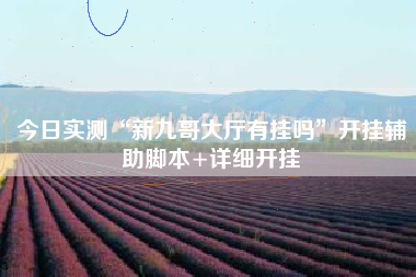 今日实测“新九哥大厅有挂吗”开挂辅助脚本+详细开挂