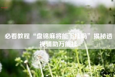 必看教程“盘锦麻将能下挂吗”揭秘透视辅助万能挂