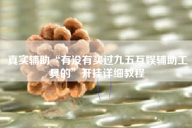 真实辅助“有没有买过九五互娱辅助工具的”开挂详细教程