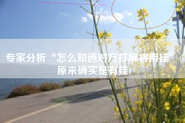 专家分析“怎么知道对方打麻将用挂”(原来确实是有挂)